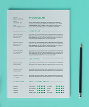 Load image into Gallery viewer, Free Resume Template for Photoshop (PSD) and Illustrator (AI) Format

