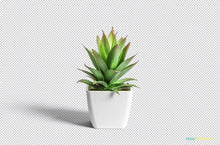 Load image into Gallery viewer, Free Flower Pot Mockup
